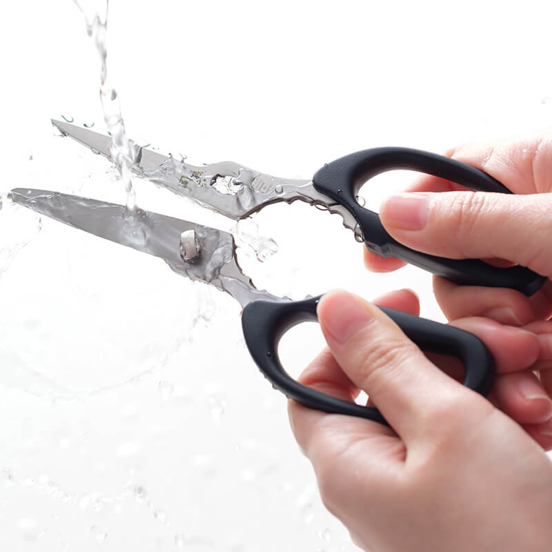 Portable Japanese Kitchen Scissors With Cap, Seki Magoroku